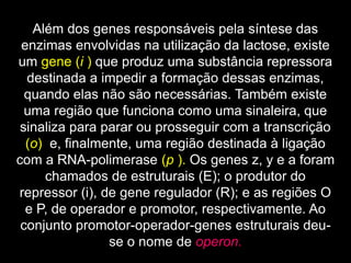 Além dos genes responsáveis pela síntese das
enzimas envolvidas na utilização da lactose, existe
um gene (i ) que produz uma substância repressora
destinada a impedir a formação dessas enzimas,
quando elas não são necessárias. Também existe
uma região que funciona como uma sinaleira, que
sinaliza para parar ou prosseguir com a transcrição
(o) e, finalmente, uma região destinada à ligação
com a RNA-polimerase (p ). Os genes z, y e a foram
chamados de estruturais (E); o produtor do
repressor (i), de gene regulador (R); e as regiões O
e P, de operador e promotor, respectivamente. Ao
conjunto promotor-operador-genes estruturais deu-
se o nome de operon.
 