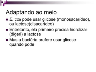 Adaptando ao meio
 E. coli pode usar glicose (monosacarídeo),
ou lactose(disacarídeo)
 Entretanto, ela primeiro precisa hidrolizar
(digeri) a lactose
 Mas a bactéria prefere usar glicose
quando pode
 
