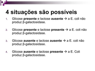 4 situações são possíveis
1. Glicose presente e lactose ausente  a E. coli não
produz β-galactosidase.
2. Glicose presente e lactose presente  a E. coli não
produz β-galactosidase.
3. Glicose ausente e lactose ausente  a E. coli não
produz β-galactosidase.
4. Glicose ausente e lactose presente  a E. Coli
produz β-galactosidase.
 