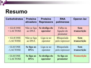 Resumo
Carbohidratos Proteína
ativadora
Proteína
Repressora
RNA
polimerase
Operon lac
+ GLICOSE
+ LACTOSE
Não se liga
ao DNA
Se desliga do
operator
Falha na
ligação do
promotor
Sem
transcrição
+ GLICOSE
- LACTOSE
Não se liga
ao DNA
Liga-se ao
operator
Bloqueiada
pelo repressor
Sem
transcrição
- GLICOSE
- LACTOSE
Se liga ao
DNA
Liga-se ao
operator
Bloqueiada
pelo repressor
Sem
transcrição
- GLICOSE
+ LACTOSE
Se liga ao
DNA
Se desliga do
operator
Se liga ao
promotor
Transcrição
 