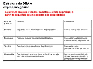 Estrutura do DNA e
expressão gênica
A estrutura protéica é variada, complexa e difícil de predizer a
partir da seqüência de aminoácidos dos polipeptídeos
Nível de
Estrutura
Definição Comentário
Primária Seqüência linear de aminoácidos do polipeptídeo Grande variação de tamanho
Secundária Trajetória espacial do arcabouço polipeptídico Pode variar localizadamente:
α-hélice, folha β pregueada etc
Terciária Estrutura tridimensional geral do polipeptídeo Pode variar muito:
globular, em barra, em tubo etc
Quaternária Estrutura geral de uma proteína multimérica, ou seja,
com combinação de subunidades
Frequentemente estabilizada
através de pontes dissulfito e
por ligações com ligantes etc
 