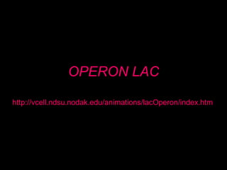 OPERON LAC
http://vcell.ndsu.nodak.edu/animations/lacOperon/index.htm
 