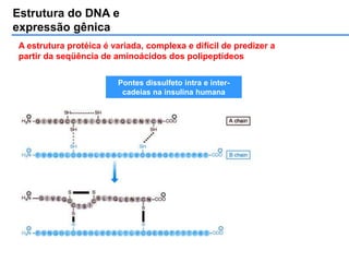 Estrutura do DNA e
expressão gênica
A estrutura protéica é variada, complexa e difícil de predizer a
partir da seqüência de aminoácidos dos polipeptídeos
Pontes dissulfeto intra e inter-
cadeias na insulina humana
 