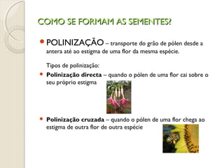 COMO SE FORMAM AS SEMENTES?COMO SE FORMAM AS SEMENTES?
POLINIZAÇÃO – transporte do grão de pólen desde a
antera até ao estigma de uma flor da mesma espécie.
Tipos de polinização:
 Polinização directa – quando o pólen de uma flor cai sobre o
seu próprio estigma
 Polinização cruzada – quando o pólen de uma flor chega ao
estigma de outra flor de outra espécie
 