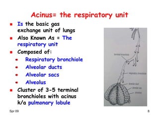 Acinus Functional Unit 01 respiratory RDS | PPT
