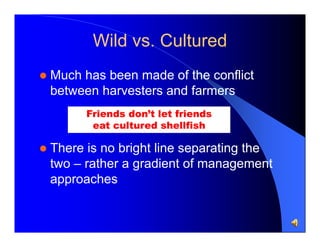 Wild vs. Cultured


Much has been made of the conflict
between harvesters and farmers
Friends don’t let friends
eat cultured shellfish



There is no bright line separating the
two – rather a gradient of management
approaches

 