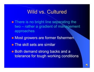 Wild vs. Cultured


There is no bright line separating the
two – rather a gradient of management
approaches



Most growers are former fishermen



The skill sets are similar



Both demand strong backs and a
tolerance for tough working conditions

 