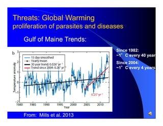 Threats: Global Warming
proliferation of parasites and diseases
Gulf of Maine Trends:
Since 1982:
~1°C every 40 years
Since 2004:
~1°C every 4 years

From: Mills et al. 2013

 