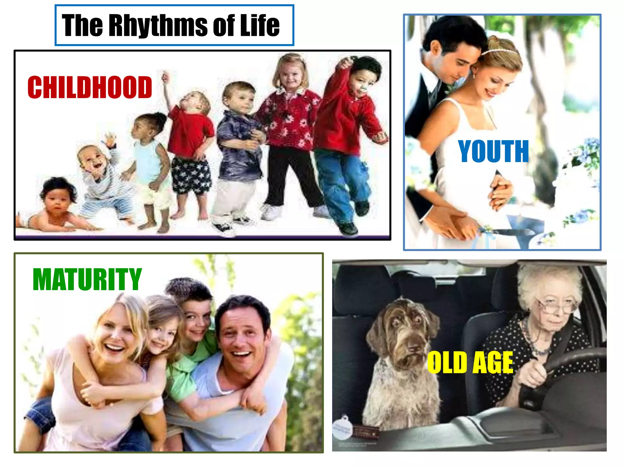 The Rhythms of Life
CHILDHOOD
YOUTH
MATURITY
OLD AGE
 