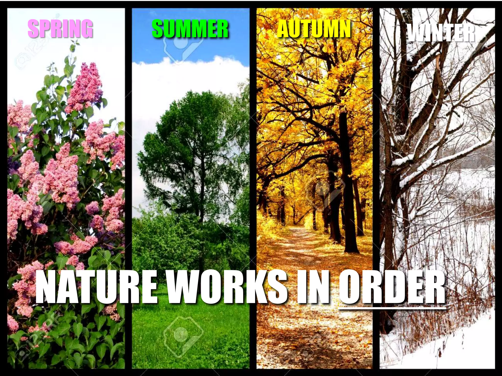 SPRING SUMMER AUTUMN WINTER
NATURE WORKS IN ORDER
 