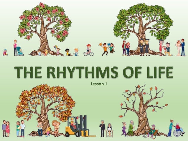 01 rhythms of life