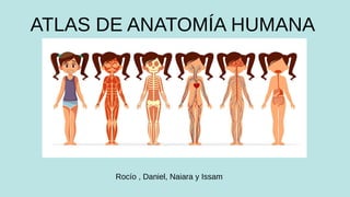 ATLAS DE ANATOMÍA HUMANA
Rocío , Daniel, Naiara y Issam
 