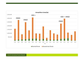 Assessing the role of climate in Indonesian fires, to better support Fire Management Interventions