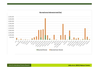 Assessing the role of climate in Indonesian fires, to better support Fire Management Interventions