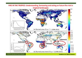Andela et al. (2017) Science
FIRE IN THE TROPICS: Understanding, foreseeing and acting on future fire risk in
tropical lan...
