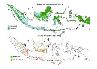 Assessing the role of climate in Indonesian fires, to better support Fire Management Interventions