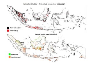 Assessing the role of climate in Indonesian fires, to better support Fire Management Interventions
