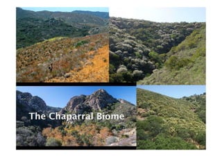 Assessing the role of climate in Indonesian fires, to better support Fire Management Interventions