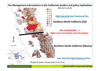 Assessing the role of climate in Indonesian fires, to better support Fire Management Interventions