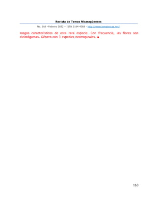 Revista de Temas Nicaragüenses
No. 166 –Febrero 2022 – ISSN 2164-4268 - http://www.temasnicas.net/
163
rasgos característicos de esta rara especie. Con frecuencia, las flores son
cleistógamas. Género con 3 especies neotropicales. ■
 