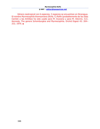 Myrmecophila Rolfe
@ RNT – editor@temasnicas.net
166
Género neotropical con 6 especies; 3 especies se encuentran en Nicaragua.
El nombre Myrmecophila thomsoniana (Rchb. f.) Rolfe (probablemente de las Islas
Caimán y las Antillas) ha sido usado para M. brysiana y para M. tibicinis. G.C.
Kennedy. The genera Schomburgkia and Myrmecophila. Orchid Digest 43: 204–
212. 1979. ■
 
