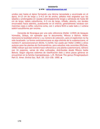GEOGRAFÍA
@ RTN – editor@temasnicas.net
170
unidos casi hasta el ápice formando una lámina lanceolada y acuminada en el
ápice, 8–13 cm de largo y 3–4.5 cm de ancho; pétalos más angostos que los
sépalos y prolongados en caudas extremadamente largas y péndulas de hasta 60
cm de largo; labelo calceiforme, 4–5 cm de largo, inflado, abierto, con bordes
encorvados hacia adentro, pubescente en el interior, generalmente verdoso con
manchas rojas o cafés; columna corta, con 1 antera fértil a cada lado y 1 antera
estéril escutiforme por encima.
Conocida de Nicaragua por una sola referencia (Heller 11994) de bosques
húmedos, Zelaya, sin ejemplar que lo documente; México a Bolivia. Heller
menciona la localidad anterior y su número de colección, pero el espécimen no ha
sido localizado. La forma centroamericana es algo distinta de la sudamericana; el
nombre P. warscewiczianum (Rchb. f.) Schltr. fue usado por Heller (1985) y otros
autores para las plantas de Centroamérica, pero estudios más recientes (McCook,
1990) indican que ese nombre hace referencia a una planta sudamericana. Género
con 16 especies, varias de ellas cultivadas, distribuidas desde México hasta
Bolivia. Según algunos sistemas de clasificación éste y otros pocos géneros se
encuentran en la familia Cypripediaceae. L.M. McCook The genus Phragmipedium
Part II. Amer. Orchid Soc. Bull. 59: 153–158. 1990. ■
 
