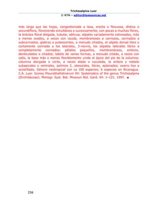 Trichosalpinx Luer
© RTN – editor@temasnicas.net
256
más larga que las hojas, congestionada a laxa, erecta o flexuosa, dística o
secundiflora, floreciendo simultánea o sucesivamente, con pocas a muchas flores,
la bráctea floral delgada, tubular, oblicua; sépalos variadamente coloreados, más
o menos ovados, a veces con cauda, membranosos a carnosos, carinados a
subcarinados, glabros a pubescentes, a menudo ciliados, el sépalo dorsal libre o
cortamente connado a los laterales, 3-nervio, los sépalos laterales libres a
completamente connados; pétalos pequeños, membranáceos, enteros,
denticulados o ciliados; labelo de varias formas, a menudo ciliado, a veces con
callo, la base más o menos flexiblemente unida al ápice del pie de la columna;
columna alargada o corta, a veces alada o cuculada, la antera y rostelo
subapicales o ventrales, polinios 2, obovoides, libres, aplanados; ovario liso a
acostillado. Género neotropical con ca 100 especies; 6 especies en Nicaragua.
C.A. Luer. Icones Pleurothallidinarum XV: Systematics of the genus Trichosalpinx
(Orchidaceae). Monogr. Syst. Bot. Missouri Bot. Gard. 64: 1–121. 1997. ■
 