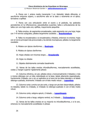 Clave dicotómica de las Orquídeas en Nicaragua
© Missouri Botanical Garden – editor@temasnicas.net
–
26
6. Flores con 1 antera media (raramente 3 en Sobralia); labelo diferente, si
sacciforme entonces súpero, o sacciforme sólo en la base o raramente en el ápice;
terrestres o epífitas
7. Flores con una articulación entre el ovario y el pedicelo, los pedicelos
persistentes en la inflorescencia; pseudobulbos ausentes; tallos o articulaciones de los
tallos con una hoja cada uno; epífitas, mayormente pequeñas
8. Tallos erectos, de segmentos encadenados, cada segmento con una hoja; hojas
con 7–9 nervios subiguales; pétalos largamente caudados ... Brachionidium
8. Tallos no encadenados o si encadenados y foliados, entonces no erectos; hojas
con el nervio principal más pronunciado y los demás inconspicuos; pétalos no largamente
caudados
9. Pétalos con ápices claviformes ... Restrepia
9. Pétalos sin ápices claviformes
10. Hojas ciliadas con tricomas largos ... Dresslerella
10. Hojas no ciliadas
11. Sépalos distintamente connados basalmente
12. Vainas de los tallos erectos infundibuliformes, marcadamente acostilladas,
costas y margen superior rígidamente pilosos
13. Columna cilíndrica, sin pie; pétalos obvia y transversalmente 2-lobados o más
o menos oblongos con un lobo redondeado en la base; labelo altamente especializado,
fuertemente 2-lobado, con o sin un apéndice en el seno de los lobos laterales o el labelo
oblongo-cuadrado, levemente 3-lobado con el lobo medio retuso ... Lepanthes
13. Columna corta y ancha con pie corto, o larga con pie bien desarrollado; pétalos
no lobados; labelo no 2-lobado, si 3-lobado no oblongo-cuadrado ni con el lobo medio
retuso
14. Columna corta; estigma apical y 2-lobado ... Lepanthopsis
14. Columna corta o larga; estigma ventral, no 2-lobado ... Trichosalpinx
12. Vainas de los tallos erectos en su mayoría no infundibuliformes, o si lo son,
entonces no marcadamente acostilladas ni pilosas
 