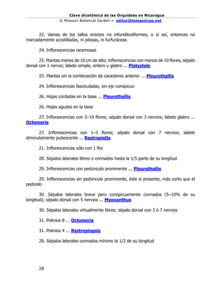 Clave dicotómica de las Orquídeas en Nicaragua
© Missouri Botanical Garden – editor@temasnicas.net
–
28
22. Vainas de los tallos erectos no infundibuliformes, o sí así, entonces no
marcadamente acostilladas, ni pilosas, ni furfuráceas
24. Inflorescencias racemosas
25. Plantas menos de 10 cm de alto; inflorescencias con menos de 10 flores; sépalo
dorsal con 1 nervio; labelo simple, entero y glabro ... Platystele
25. Plantas sin la combinación de caracteres anterior ... Pleurothallis
24. Inflorescencias fasciculadas, sin eje conspicuo
26. Hojas cordadas en la base ... Pleurothallis
26. Hojas agudas en la base
27. Inflorescencias con 3–10 flores; sépalo dorsal con 3 nervios; labelo glabro ...
Octomeria
27. Inflorescencias con 1–3 flores; sépalo dorsal con 7 nervios; labelo
diminutamente pubescente ... Restrepiella
21. Inflorescencias sólo con 1 flor
28. Sépalos laterales libres o connados hasta la 1/5 parte de su longitud
29. Inflorescencias con pedúnculo prominente ... Pleurothallis
29. Inflorescencias sin pedúnculo prominente, éste si presente, más corto que el
pedicelo
30. Sépalos laterales breve pero conspicuamente connados (5–10% de su
longitud); sépalo dorsal con 5 nervios ... Myoxanthus
30. Sépalos laterales virtualmente libres; sépalo dorsal con 3 ó 7 nervios
31. Polinios 8 ... Octomeria
31. Polinios 4 ... Restrepiopsis
28. Sépalos laterales connados mínimo la 1/2 de su longitud
 