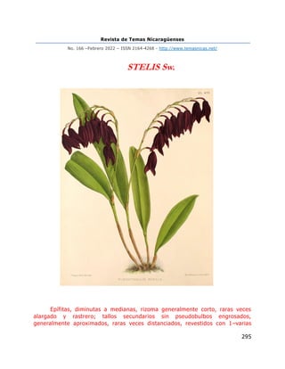 Revista de Temas Nicaragüenses
No. 166 –Febrero 2022 – ISSN 2164-4268 - http://www.temasnicas.net/
295
STELIS Sw.
Epífitas, diminutas a medianas, rizoma generalmente corto, raras veces
alargado y rastrero; tallos secundarios sin pseudobulbos engrosados,
generalmente aproximados, raras veces distanciados, revestidos con 1–varias
 