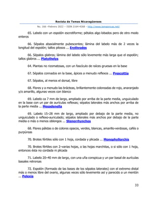 Revista de Temas Nicaragüenses
No. 166 –Febrero 2022 – ISSN 2164-4268 - http://www.temasnicas.net/
33
65. Labelo con un espolón escrotiforme; pétalos algo lobados pero de otro modo
enteros
66. Sépalos abaxialmente pubescentes; lámina del labelo más de 2 veces la
longitud del espolón; tallos pilosos ... Erythrodes
66. Sépalos glabros; lámina del labelo sólo levemente más larga que el espolón;
tallos glabros ... Platythelys
64. Plantas no rizomatosas, con un fascículo de raíces gruesas en la base
67. Sépalos connados en la base, ápices a menudo reflexos ... Prescottia
67. Sépalos, al menos el dorsal, libre
68. Flores y a menudo las brácteas, brillantemente coloreadas de rojo, anaranjado
y/o amarillo, algunas veces con blanco
69. Labelo ca 7 mm de largo, ampliado por arriba de la parte media, unguiculado
en la base con un par de aurículas reflexas; sépalos laterales más anchos por arriba de
la parte media ... Mesadenella
69. Labelo 15–28 mm de largo, ampliado por debajo de la parte media, no
unguiculado o reflexo-auriculado; sépalos laterales más anchos por debajo de la parte
media o más o menos oblongos ... Stenorrhynchos
68. Flores pálidas o de colores opacos, verdes, blancas, amarillo-verdosas, cafés o
purpúreas
70. Brotes fértiles sólo con 1 hoja, cordada y plicada ... Monophyllorchis
70. Brotes fértiles con 2–varias hojas, o las hojas marchitas, o si sólo con 1 hoja,
entonces ésta no cordada ni plicada
71. Labelo 20–40 mm de largo, con una uña conspicua y un par basal de aurículas
basales retrorsas
72. Espolón (formado de las bases de los sépalos laterales) con el extremo distal
más o menos libre del ovario, algunas veces sólo levemente así y parecido a un mentón
... Pelexia
 