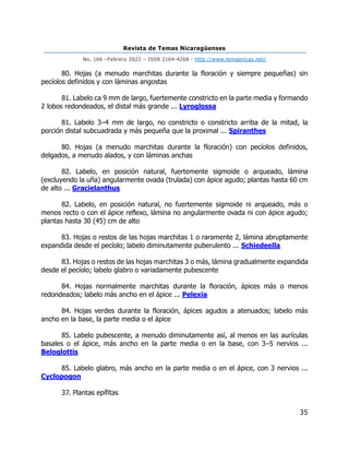 Revista de Temas Nicaragüenses
No. 166 –Febrero 2022 – ISSN 2164-4268 - http://www.temasnicas.net/
35
80. Hojas (a menudo marchitas durante la floración y siempre pequeñas) sin
pecíolos definidos y con láminas angostas
81. Labelo ca 9 mm de largo, fuertemente constricto en la parte media y formando
2 lobos redondeados, el distal más grande ... Lyroglossa
81. Labelo 3–4 mm de largo, no constricto o constricto arriba de la mitad, la
porción distal subcuadrada y más pequeña que la proximal ... Spiranthes
80. Hojas (a menudo marchitas durante la floración) con pecíolos definidos,
delgados, a menudo alados, y con láminas anchas
82. Labelo, en posición natural, fuertemente sigmoide o arqueado, lámina
(excluyendo la uña) angularmente ovada (trulada) con ápice agudo; plantas hasta 60 cm
de alto ... Gracielanthus
82. Labelo, en posición natural, no fuertemente sigmoide ni arqueado, más o
menos recto o con el ápice reflexo, lámina no angularmente ovada ni con ápice agudo;
plantas hasta 30 (45) cm de alto
83. Hojas o restos de las hojas marchitas 1 o raramente 2, lámina abruptamente
expandida desde el pecíolo; labelo diminutamente puberulento ... Schiedeella
83. Hojas o restos de las hojas marchitas 3 o más, lámina gradualmente expandida
desde el pecíolo; labelo glabro o variadamente pubescente
84. Hojas normalmente marchitas durante la floración, ápices más o menos
redondeados; labelo más ancho en el ápice ... Pelexia
84. Hojas verdes durante la floración, ápices agudos a atenuados; labelo más
ancho en la base, la parte media o el ápice
85. Labelo pubescente, a menudo diminutamente así, al menos en las aurículas
basales o el ápice, más ancho en la parte media o en la base, con 3–5 nervios ...
Beloglottis
85. Labelo glabro, más ancho en la parte media o en el ápice, con 3 nervios ...
Cyclopogon
37. Plantas epífitas
 