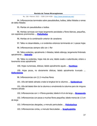 Revista de Temas Nicaragüenses
No. 166 –Febrero 2022 – ISSN 2164-4268 - http://www.temasnicas.net/
37
94. Inflorescencias terminales sobre pseudobulbos, bulbos, tallos foliados o ramas
de tallos foliados
95. Plantas sin pseudobulbos o bulbos
96. Hierbas carnosas con hojas largamente pecioladas y flores blancas, pequeñas,
con espolones prominentes ... Platythelys
96. Hierbas sin la combinación anterior de caracteres
97. Tallos no desarrollados, o si evidentes entonces terminando en 1–pocas hojas
98. Inflorescencias siempre sólo con 1 flor
99. Tallos evidentes, apicalmente 1-foliados; labelo oblongo, largamente fimbriado
apicalmente ... Sobralia
99. Tallos no evidentes, hojas más de una; labelo ovado o suborbicular, entero a
levemente eroso apicalmente
100. Hojas numerosas, dísticas; labelo apicalmente agudo ... Huntleya
100. Hojas pocas, no obviamente dísticas; labelo apicalmente truncado ...
Kefersteinia
98. Inflorescencias con (1) 2–muchas flores
101. Uña del labelo adnada a toda la longitud de la columna ... Epidendrum
101. Uña del labelo libre de la columna o envolviendo la columna pero de ninguna
manera adnada
102. Inflorescencias con 1–4 flores grandes; labelo 6–8 cm de largo ... Brassavola
102. Inflorescencias con pocas a muchas flores pequeñas; labelo menos de 1.5 cm
de largo
103. Inflorescencias alargadas, a menudo paniculadas ... Polystachya
103. Inflorescencias cortas, a menudo fasciculadas ... Scaphyglottis
 