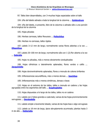 Clave dicotómica de las Orquídeas en Nicaragua
© Missouri Botanical Garden – editor@temasnicas.net
–
38
97. Tallos bien desarrollados, con 3–muchas hojas espaciadas sobre el tallo
104. Uña del labelo adnada a toda la longitud de la columna ... Epidendrum
104. Uña del labelo, si presente, libre de la columna o adnada sólo a una porción
de la longitud de la columna
105. Hojas plicadas
106. Hierbas carnosas, tallos flexuosos ... Psilochilus
106. Hierbas no carnosas, tallos rígidos
107. Labelo 3–12 mm de largo; normalmente varias flores abiertas a la vez ...
Elleanthus
107. Labelo 20–100 mm de largo; normalmente sólo con 1 (2) flor abierta a la vez
... Sobralia
105. Hojas no plicadas, más o menos obviamente conduplicadas
108. Hojas cilíndricas o lateralmente aplanadas; flores verdes o cafés ...
Jacquiniella
108. Hojas dorsiventralmente aplanadas; flores a menudo de colores brillantes
109. Inflorescencias secundifloras, más o menos densas ... Isochilus
109. Inflorescencias más o menos simétricas, densas o laxas
110. Hojas en el extremo de los tallos, tallos a menudo en cadena y las hojas
agrupadas entre los segmentos del tallo ... Scaphyglottis
110. Hojas dispuestas a lo largo de los tallos, tallos no en cadena
111. Labelo con 2 lobos grandes a cada lado; vainas de las hojas prominentemente
verrugosas ... Oerstedella
111. Labelo simple o levemente lobado; vainas de las hojas lisas o algo verrugosas
112. Labelo ca 18 mm de largo, ápice abruptamente acuminado; plantas hasta 3
m de alto ... Helleriella
 