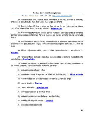 Revista de Temas Nicaragüenses
No. 166 –Febrero 2022 – ISSN 2164-4268 - http://www.temasnicas.net/
41
120. Pseudobulbos con 2–varias hojas terminales o basales, o si con 1 terminal,
entonces el pseudobulbo más de 5 veces más largo que ancho
128. Pseudobulbos fértiles ocultos por las vainas de las hojas verdes; flores
pequeñas, labelo (2–4.5 mm de largo) súpero ... Polystachya
128. Pseudobulbos fértiles no ocultos por las vainas de las hojas verdes o cubiertos
por las vainas secas sin láminas; flores a menudo de mayor tamaño, labelo a menudo
ínfero
129. Inflorescencias fasciculadas; pseudobulbos a menudo formándose en el
extremo de los pseudobulbos viejos, formando cadenas; sépalos dorsales 2–12 mm de
largo
130. Flores rojo-anaranjadas; pseudobulbos generalmente no estipitados ...
Hexisea
130. Flores verdes y blancas o rosadas; pseudobulbos en general marcadamente
estipitados ... Scaphyglottis
129. Inflorescencias con un pedúnculo más o menos bien definido; pseudobulbos
sin formar cadenas; sépalos dorsales 2–90 mm de largo
131. Inflorescencias sólo con 1 flor
132. Pseudobulbos con 1 hoja glauca; labelo ca 5 cm de largo ... Rhyncholaelia
132. Pseudobulbos con 2 hojas verdes; labelo 0.3–0.9 cm de largo
133. Labelo simple ... Dinema
133. Labelo 3-lobado ... Prosthechea
131. Inflorescencias con 1–muchas flores
134. Inflorescencias mucho más largas que las hojas
135. Inflorescencias paniculadas ... Encyclia
135. Inflorescencias racemosas
 