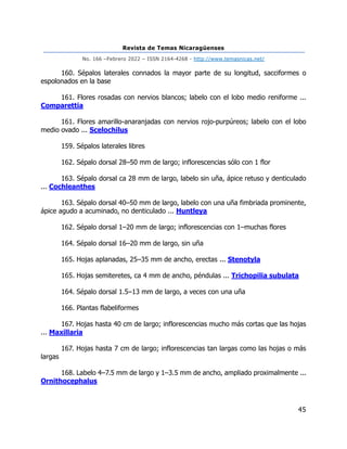 Revista de Temas Nicaragüenses
No. 166 –Febrero 2022 – ISSN 2164-4268 - http://www.temasnicas.net/
45
160. Sépalos laterales connados la mayor parte de su longitud, sacciformes o
espolonados en la base
161. Flores rosadas con nervios blancos; labelo con el lobo medio reniforme ...
Comparettia
161. Flores amarillo-anaranjadas con nervios rojo-purpúreos; labelo con el lobo
medio ovado ... Scelochilus
159. Sépalos laterales libres
162. Sépalo dorsal 28–50 mm de largo; inflorescencias sólo con 1 flor
163. Sépalo dorsal ca 28 mm de largo, labelo sin uña, ápice retuso y denticulado
... Cochleanthes
163. Sépalo dorsal 40–50 mm de largo, labelo con una uña fimbriada prominente,
ápice agudo a acuminado, no denticulado ... Huntleya
162. Sépalo dorsal 1–20 mm de largo; inflorescencias con 1–muchas flores
164. Sépalo dorsal 16–20 mm de largo, sin uña
165. Hojas aplanadas, 25–35 mm de ancho, erectas ... Stenotyla
165. Hojas semiteretes, ca 4 mm de ancho, péndulas ... Trichopilia subulata
164. Sépalo dorsal 1.5–13 mm de largo, a veces con una uña
166. Plantas flabeliformes
167. Hojas hasta 40 cm de largo; inflorescencias mucho más cortas que las hojas
... Maxillaria
167. Hojas hasta 7 cm de largo; inflorescencias tan largas como las hojas o más
largas
168. Labelo 4–7.5 mm de largo y 1–3.5 mm de ancho, ampliado proximalmente ...
Ornithocephalus
 