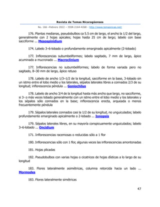 Revista de Temas Nicaragüenses
No. 166 –Febrero 2022 – ISSN 2164-4268 - http://www.temasnicas.net/
47
176. Plantas medianas, pseudobulbos ca 5.5 cm de largo, el ancho la 1/2 del largo,
generalmente con 2 hojas apicales; hojas hasta 25 cm de largo; labelo con base
sacciforme ... Mesospinidium
174. Labelo 3–6-lobado o profundamente emarginado apicalmente (2-lobado)
177. Inflorescencias subumbeliformes; labelo sagitado, 7 mm de largo, ápice
acuminado a mucronado ... Macroclinium
177. Inflorescencias no subumbeliformes; labelo de forma variada pero no
sagitado, 8–30 mm de largo, ápice retuso
178. Labelo de ancho 1/3–1/2 de la longitud, sacciforme en la base, 3-lobado sin
un istmo entre el lobo medio y los laterales, sépalos laterales libres a connados 2/3 de su
longitud; inflorescencia péndula ... Goniochilus
178. Labelo de ancho 3/4 de la longitud hasta más ancho que largo, no sacciforme,
si 3- o más veces lobado generalmente con un istmo entre el lobo medio y los laterales y
los sépalos sólo connados en la base; inflorescencia erecta, arqueada o menos
frecuentemente péndula
179. Sépalos laterales connados casi la 1/2 de su longitud, no unguiculados; labelo
profundamente emarginado apicalmente o 2-lobado ... Ionopsis
179. Sépalos laterales libres, en su mayoría conspicuamente unguiculados; labelo
3–6-lobado ... Oncidium
171. Inflorescencias racemosas o reducidas sólo a 1 flor
180. Inflorescencias sólo con 1 flor, algunas veces las inflorescencias amontonadas
181. Hojas plicadas
182. Pseudobulbos con varias hojas o cicatrices de hojas dísticas a lo largo de su
longitud
183. Flores lateralmente asimétricas, columna retorcida hacia un lado ...
Mormodes
183. Flores lateralmente simétricas
 