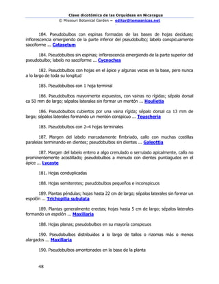 Clave dicotómica de las Orquídeas en Nicaragua
© Missouri Botanical Garden – editor@temasnicas.net
–
48
184. Pseudobulbos con espinas formadas de las bases de hojas deciduas;
inflorescencia emergiendo de la parte inferior del pseudobulbo; labelo conspicuamente
sacciforme ... Catasetum
184. Pseudobulbos sin espinas; inflorescencia emergiendo de la parte superior del
pseudobulbo; labelo no sacciforme ... Cycnoches
182. Pseudobulbos con hojas en el ápice y algunas veces en la base, pero nunca
a lo largo de toda su longitud
185. Pseudobulbos con 1 hoja terminal
186. Pseudobulbos mayormente expuestos, con vainas no rígidas; sépalo dorsal
ca 50 mm de largo; sépalos laterales sin formar un mentón ... Houlletia
186. Pseudobulbos cubiertos por una vaina rígida; sépalo dorsal ca 13 mm de
largo; sépalos laterales formando un mentón conspicuo ... Teuscheria
185. Pseudobulbos con 2–4 hojas terminales
187. Margen del labelo marcadamente fimbriado, callo con muchas costillas
paralelas terminando en dientes; pseudobulbos sin dientes ... Galeottia
187. Margen del labelo entero a algo crenulado o serrulado apicalmente, callo no
prominentemente acostillado; pseudobulbos a menudo con dientes puntiagudos en el
ápice ... Lycaste
181. Hojas conduplicadas
188. Hojas semiteretes; pseudobulbos pequeños e inconspicuos
189. Plantas péndulas; hojas hasta 22 cm de largo; sépalos laterales sin formar un
espolón ... Trichopilia subulata
189. Plantas generalmente erectas; hojas hasta 5 cm de largo; sépalos laterales
formando un espolón ... Maxillaria
188. Hojas planas; pseudobulbos en su mayoría conspicuos
190. Pseudobulbos distribuidos a lo largo de tallos o rizomas más o menos
alargados ... Maxillaria
190. Pseudobulbos amontonados en la base de la planta
 