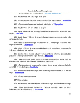Revista de Temas Nicaragüenses
No. 166 –Febrero 2022 – ISSN 2164-4268 - http://www.temasnicas.net/
49
191. Pseudobulbos con 2 ó 3 hojas en el ápice
192. Inflorescencias cortas, más o menos igualando al pseudobulbo ... Maxillaria
192. Inflorescencias largas, casi igualando a las hojas ... Trigonidium
191. Pseudobulbos sólo con 1 hoja en el ápice
193. Sépalo dorsal 4–6 mm de largo; inflorescencias igualando a las hojas o más
largas ... Leochilus
193. Sépalo dorsal 7–70 mm de largo; inflorescencias en su mayoría mucho más
cortas que las hojas
194. Labelo 45–60 mm de largo; pseudobulbos 7–13 cm de largo, 3–10 veces más
largos que anchos ... Trichopilia
194. Labelo 2–30 mm de largo; pseudobulbos 0.1–10 cm de largo, en su mayoría
1–2 veces más largos que anchos
195. Labelo más o menos tubular y envolviendo la columna; pseudobulbos
pequeños e inconspicuos entre las hojas dísticas ... Stenotyla
195. Labelo no tubular, plano o con los bordes curvados hacia arriba, pero no
envolviendo la columna; pseudobulbos mayormente conspicuos
196. Inflorescencias más cortas que las hojas, o si más largas, entonces el sépalo
dorsal 30–50 mm de largo ... Maxillaria
196. Inflorescencias casi tan largas como las hojas y el sépalo dorsal ca 15 mm de
largo ... Mormolyca
180. Inflorescencias racemosas
197. Hojas plicadas
198. Pseudobulbos con varias hojas o cicatrices de hojas dísticas en todo su largo
199. Flores lateralmente asimétricas, columna retorcida hacia un lado;
inflorescencias con hasta 4 flores ... Mormodes
 