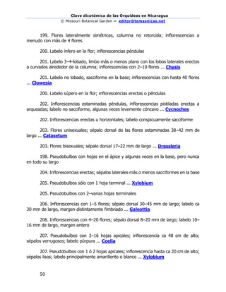 Clave dicotómica de las Orquídeas en Nicaragua
© Missouri Botanical Garden – editor@temasnicas.net
–
50
199. Flores lateralmente simétricas, columna no retorcida; inflorescencias a
menudo con más de 4 flores
200. Labelo ínfero en la flor; inflorescencias péndulas
201. Labelo 3–4-lobado, limbo más o menos plano con los lobos laterales erectos
a curvados alrededor de la columna; inflorescencias con 2–10 flores ... Chysis
201. Labelo no lobado, sacciforme en la base; inflorescencias con hasta 40 flores
... Clowesia
200. Labelo súpero en la flor; inflorescencias erectas o péndulas
202. Inflorescencias estaminadas péndulas, inflorescencias pistiladas erectas a
arqueadas; labelo no sacciforme, algunas veces levemente cóncavo ... Cycnoches
202. Inflorescencias erectas u horizontales; labelo conspicuamente sacciforme
203. Flores unisexuales; sépalo dorsal de las flores estaminadas 38–42 mm de
largo ... Catasetum
203. Flores bisexuales; sépalo dorsal 17–22 mm de largo ... Dressleria
198. Pseudobulbos con hojas en el ápice y algunas veces en la base, pero nunca
en todo su largo
204. Inflorescencias erectas; sépalos laterales más o menos sacciformes en la base
205. Pseudobulbos sólo con 1 hoja terminal ... Xylobium
205. Pseudobulbos con 2–varias hojas terminales
206. Inflorescencias con 1–5 flores; sépalo dorsal 30–45 mm de largo; labelo ca
30 mm de largo, margen distintamente fimbriado ... Galeottia
206. Inflorescencias con 4–20 flores; sépalo dorsal 8–20 mm de largo; labelo 10–
16 mm de largo, margen entero
207. Pseudobulbos con 3–16 hojas apicales; inflorescencia ca 48 cm de alto;
sépalos verrugosos; labelo púrpura ... Coelia
207. Pseudobulbos con 1 ó 2 hojas apicales; inflorescencia hasta ca 20 cm de alto;
sépalos lisos; labelo principalmente amarillento o blanco ... Xylobium
 