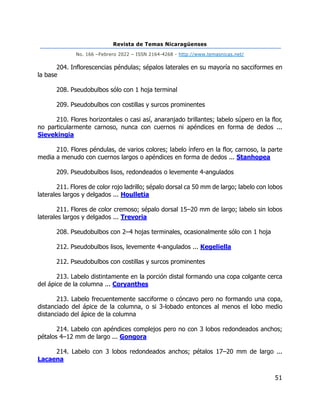 Revista de Temas Nicaragüenses
No. 166 –Febrero 2022 – ISSN 2164-4268 - http://www.temasnicas.net/
51
204. Inflorescencias péndulas; sépalos laterales en su mayoría no sacciformes en
la base
208. Pseudobulbos sólo con 1 hoja terminal
209. Pseudobulbos con costillas y surcos prominentes
210. Flores horizontales o casi así, anaranjado brillantes; labelo súpero en la flor,
no particularmente carnoso, nunca con cuernos ni apéndices en forma de dedos ...
Sievekingia
210. Flores péndulas, de varios colores; labelo ínfero en la flor, carnoso, la parte
media a menudo con cuernos largos o apéndices en forma de dedos ... Stanhopea
209. Pseudobulbos lisos, redondeados o levemente 4-angulados
211. Flores de color rojo ladrillo; sépalo dorsal ca 50 mm de largo; labelo con lobos
laterales largos y delgados ... Houlletia
211. Flores de color cremoso; sépalo dorsal 15–20 mm de largo; labelo sin lobos
laterales largos y delgados ... Trevoria
208. Pseudobulbos con 2–4 hojas terminales, ocasionalmente sólo con 1 hoja
212. Pseudobulbos lisos, levemente 4-angulados ... Kegeliella
212. Pseudobulbos con costillas y surcos prominentes
213. Labelo distintamente en la porción distal formando una copa colgante cerca
del ápice de la columna ... Coryanthes
213. Labelo frecuentemente sacciforme o cóncavo pero no formando una copa,
distanciado del ápice de la columna, o si 3-lobado entonces al menos el lobo medio
distanciado del ápice de la columna
214. Labelo con apéndices complejos pero no con 3 lobos redondeados anchos;
pétalos 4–12 mm de largo ... Gongora
214. Labelo con 3 lobos redondeados anchos; pétalos 17–20 mm de largo ...
Lacaena
 