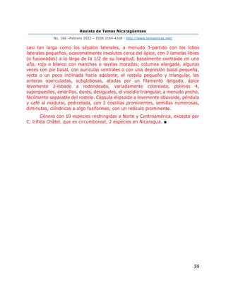 Revista de Temas Nicaragüenses
No. 166 –Febrero 2022 – ISSN 2164-4268 - http://www.temasnicas.net/
59
casi tan largo como los sépalos laterales, a menudo 3-partido con los lobos
laterales pequeños, ocasionalmente involutos cerca del ápice, con 2 lamelas libres
(o fusionadas) a lo largo de la 1/2 de su longitud, basalmente contraído en una
uña, rojo o blanco con manchas o rayitas moradas; columna alargada, algunas
veces con pie basal, con aurículas ventrales o con una depresión basal pequeña,
recta o un poco inclinada hacia adelante, el rostelo pequeño y triangular, las
anteras operculadas, subglobosas, atadas por un filamento delgado, ápice
levemente 2-lobado a redondeado, variadamente coloreada, polinios 4,
superpuestos, amarillos, duros, desiguales, el viscidio triangular, a menudo ancho,
fácilmente separable del rostelo. Cápsula elipsoide a levemente obovoide, péndula
y café al madurar, pedicelada, con 3 costillas prominentes, semillas numerosas,
diminutas, cilíndricas a algo fusiformes, con un retículo prominente.
Género con 10 especies restringidas a Norte y Centroamérica, excepto por
C. trifida Châtel. que es circumboreal; 2 especies en Nicaragua. ■
 