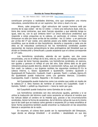 Revista de Temas Nicaragüenses
No. 166 –Febrero 2022 – ISSN 2164-4268 - http://www.temasnicas.net/
67
constituyen principios o realidades distintas, sino que comparten una misma
naturaleza, característica de un ser supremo: Ser único y dual a la vez.
Ahora, cabe preguntar: ¿Qué estructura del cuerpo humano está por
encima de la caja costal - de los 12 cielos - y tiene una estructura dual, esto es,
tiene dos caras contrarias, que sean fuerzas opuestas y que además tenga su
igual, esto es, con lo que embona bien? La única estructura anatómica que
responde a estas preguntas es la cabeza, en particular, el cráneo. Como el
Omeyocan no sólo por estar arriba de las costillas - los 12 cielos - y en particular
por arriba del 1º par costal, sino además posee una doble naturaleza: la masa
encefálica, que se divide en dos hemisferios: derecho e izquierdo y cada uno de
ellos es de naturaleza contraria.22 Así los hemisferios cerebrales pueden
representar de manera extraordinaria la idea prehispánica del Ometéotl que se
divide en Ometecuhtli y Omecíhuatl y puede aceptarse que el cráneo corresponde
al 13º cielo.
Los hemisferios cerebrales, además de ser iguales, son dos caras
encontradas, una es el reflejo de la otra, esto es, son reflejo en espejo, embonan
bien a pesar de tener fuerzas opuestas. Los hemisferios cerebrales, en esencia,
son iguales y parecen el reflejo el uno del otro. Este último dato es de gran
relevancia porque puede decirse, desde la cosmovisión nahua, que son gemelos:
Son coatl. La cabeza y sus órganos recibían los siguientes nombres:23 En la
cabeza interna. 1. Sesos: Quatetextli o Quateteztli. Cerebro: Quatextli o
Quatetexotl.24 Traducción: Cuatextli. Coatl = gemelo; Textil = cuñado, blanco.25
Así Quatetextli puede traducirse como Los gemelos blancos. 2.Cerebro:
Cuanepantla. Coatl = Gemelo. Nepantla = En medio de.
Así Cuanepantla puede traducirse como Los emelos que están en medio de
la cabeza.27 3. Otra manera de nombrar al cerebro era Cuayollotli. Coatl =
Gemelo. Yollotli = yollotli qu itiquitinemi = tiene la razón por guía.
Así Cuayollotli puede traducirse como Gemelos de la razón.
Los hemisferios cerebrales son dos estructuras iguales, gemelas y si se
utiliza la traducción del término coatl como serpiente se refuerza el nombre que
los nahuas daban al cerebro en la medida que, gracias a las circunvoluciones
cerebrales, tienen la forma de serpientes. Así el término nahua de cua es lo mismo
que el de coatl que se traduce como gemelo o serpiente.29 La masa encefálica al
tener forma serpentina también puede encontrar su traducción en las serpientes
blancas o serpientes de la razón.
En resumen, el cráneo bien puede ser la representación del Omeyocan,
lugar donde se alberga Ometéotl – el encéfalo – desdoblado en sus dos
 