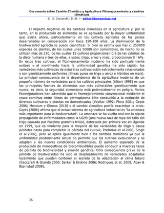 Documento sobre Cambio Climático y Agricultura Fitomejoramiento y cambios
climáticos
© S. Ceccarelli1 Et Al. – editor@temasnicas.net
–
36
El impacto negativo de los cambios climáticos en la agricultura y, por lo
tanto, en la producción de alimentos se ve agravado por la mayor uniformidad
que existe ahora, particularmente en los cultivos agrícolas de los países
desarrollados en comparación con hace 150-200 años. La disminución de la
biodiversidad agrícola se puede cuantificar. Si bien se estima que hay c. 250000
especies de plantas, de las cuales unas 50000 son comestibles, de hecho no se
utilizan más de 250, de las cuales 15 cultivos proporcionan 0,9 de las calorías de
la dieta humana y tres de ellas, a saber, trigo, arroz y maíz, proporcionan 0 · 6%.
En estos tres cultivos, el fitomejoramiento moderno ha sido particularmente
exitoso y el movimiento hacia la uniformidad genética ha sido rápido: las
variedades más cultivadas de estos tres cultivos están estrechamente relacionadas
y son genéticamente uniformes (líneas puras en trigo y arroz e híbridos en maíz).
La principal consecuencia de la dependencia de la agricultura moderna de un
pequeño número de variedades para los cultivos principales (Altieri 1995) es que
las principales fuentes de alimentos son más vulnerables genéticamente que
nunca, es decir, la seguridad alimentaria está potencialmente en peligro. Varios
fitomejoradores han advertido que el fitomejoramiento convencional mediante el
cruce continuo entre líneas de germoplasma élite conduciría a la extinción de
diversos cultivares y plantas no domesticadas (Vavilov 1992; Flora 2001; Gepts
2006; Mendum y Glenna 2010) y el cambio climático podría exacerbar la crisis.
Gepts (2006) afirma que el actual sistema de agricultura industrial es "la amenaza
más importante para la biodiversidad". La amenaza se ha vuelto real con la rápida
propagación de enfermedades como la UG99 (una nueva raza de roya del tallo del
trigo causada por Puccinia graminis triticü, detectada por primera vez en Uganda
en 1999, que es virulenta para la mayoría de las variedades de trigo y causa
pérdidas hasta para completar la pérdida del cultivo; Pretorius et al.2000; Singh
et al.2006), pero se aplica igualmente bien a los cambios climáticos ya que la
uniformidad predominante actual no permite que los cultivos evolucionen y se
adapten a las nuevas condiciones ambientales. El aumento esperado de la
producción de monocultivos de biocombustibles puede conducir a mayores tasas
de pérdida de biodiversidad y erosión genética. Otra consecuencia grave de la
pérdida de biodiversidad ha sido el desplazamiento de variedades adaptadas
localmente que pueden contener el secreto de la adaptación al clima futuro
(Ceccarelli & Grando 2000; Sarker & Erskine 2006; Rodriguez et al. 2008; Abay &
Bjørnstad 2009).
 