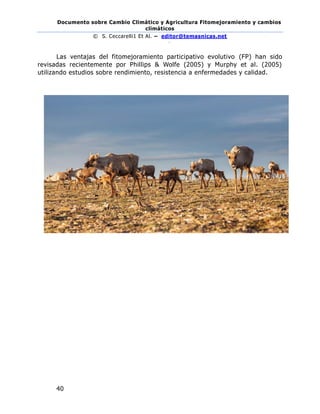 Documento sobre Cambio Climático y Agricultura Fitomejoramiento y cambios
climáticos
© S. Ceccarelli1 Et Al. – editor@temasnicas.net
–
40
Las ventajas del fitomejoramiento participativo evolutivo (FP) han sido
revisadas recientemente por Phillips & Wolfe (2005) y Murphy et al. (2005)
utilizando estudios sobre rendimiento, resistencia a enfermedades y calidad.
 