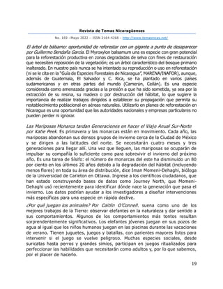 Revista de Temas Nicaragüenses
No. 169 –Mayo 2022 – ISSN 2164-4268 - http://www.temasnicas.net/
19
El árbol de bálsamo: oportunidad de reforestar con un gigante a punto de desaparecer
por Guillermo Bendaña García. El Myroxylon balsamum una es especie con gran potencial
para la reforestación productiva en zonas degradadas de selva con fines de restauración
que necesiten reposición de la vegetación; es un árbol característico del bosque primario
inalterado. En nuestro país nunca se ha intentado su reproducción o uso en reforestación
(ni se le cita en la “Guía de Especies Forestales de Nicaragua”, MARENA/INAFOR), aunque,
además de Guatemala, El Salvador y C. Rica, se ha plantado en varios países
sudamericanos y en otras partes del mundo (Camerún, Ceilán). Es una especie
considerada como amenazada gracias a la presión a que ha sido sometida, ya sea por la
extracción de su resina, su madera o por destrucción del hábitat, lo que sugiere la
importancia de realizar trabajos dirigidos a establecer su propagación que permita su
restablecimiento poblacional en aéreas naturales. Utilizarlo en planes de reforestación en
Nicaragua es una oportunidad que las autoridades nacionales y empresas particulares no
pueden perder ni ignorar.
Las Mariposas Monarca tardan Generaciones en hacer el Viaje Anual Sur-Norte
por Katie Peek. Es primavera y las monarcas están en movimiento. Cada año, las
mariposas abandonan sus densos grupos de invierno cerca de la Ciudad de México
y se dirigen a las latitudes del norte. Se necesitarán cuatro meses y tres
generaciones para llegar allí. Una vez que lleguen, las mariposas se ocuparán de
impulsar su compañía lo suficiente como para sobrevivir el invierno del próximo
año. Es una tarea de Sísifo: el número de monarcas del este ha disminuido un 80
por ciento en los últimos 20 años debido a la degradación del hábitat (incluyendo
menos flores) en toda su área de distribución, dice Iman Momeni-Dehaghi, bióloga
de la Universidad de Carleton en Ottawa. Ingrese a los científicos ciudadanos, que
han estado construyendo bases de datos como Journey North, que Momeni-
Dehaghi usó recientemente para identificar dónde nace la generación que pasa el
invierno. Los datos podrían ayudar a los investigadores a diseñar intervenciones
más específicas para una especie en rápido declive.
¿Por qué juegan los animales? Por Caitlin O’Connell. suena como uno de los
mejores trabajos de la Tierra: observar elefantes en la naturaleza y dar sentido a
sus comportamientos. Algunos de los comportamientos más tontos resultan
sorprendentemente significativos. Los elefantes jóvenes juegan en sus pozos de
agua al igual que los niños humanos juegan en las piscinas durante las vacaciones
de verano. Tienen juguetes, juegos y batallas, con parientes mayores listos para
intervenir si el juego se vuelve peligroso. Muchas especies sociales, desde
suricatas hasta perros y grandes simios, participan en juegos ritualizados para
perfeccionar las habilidades que necesitarán como adultos y, por lo que sabemos,
por el placer de hacerlo.
 