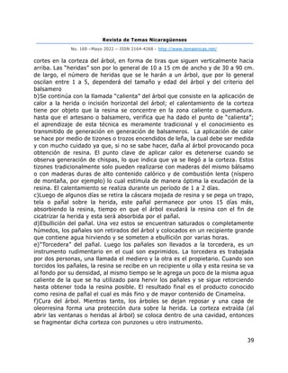 Revista de Temas Nicaragüenses
No. 169 –Mayo 2022 – ISSN 2164-4268 - http://www.temasnicas.net/
39
cortes en la corteza del árbol, en forma de tiras que siguen verticalmente hacia
arriba. Las “heridas” son por lo general de 10 a 15 cm de ancho y de 30 a 90 cm.
de largo, el número de heridas que se le harán a un árbol, que por lo general
oscilan entre 1 a 5, dependerá del tamaño y edad del árbol y del criterio del
balsamero
b)Se continúa con la llamada “calienta” del árbol que consiste en la aplicación de
calor a la herida o incisión horizontal del árbol; el calentamiento de la corteza
tiene por objeto que la resina se concentre en la zona caliente o quemadura.
hasta que el artesano o balsamero, verifica que ha dado el punto de “calienta”;
el aprendizaje de esta técnica es meramente tradicional y el conocimiento es
transmitido de generación en generación de balsameros. La aplicación de calor
se hace por medio de tizones o trozos encendidos de leña, la cual debe ser medida
y con mucho cuidado ya que, si no se sabe hacer, daña al árbol provocando poca
obtención de resina. El punto clave de aplicar calor es detenerse cuando se
observa generación de chispas, lo que indica que ya se llegó a la corteza. Estos
tizones tradicionalmente solo pueden realizarse con maderas del mismo bálsamo
o con maderas duras de alto contenido calórico y de combustión lenta (níspero
de montaña, por ejemplo) lo cual estimula de manera óptima la exudación de la
resina. El calentamiento se realiza durante un período de 1 a 2 días.
c)Luego de algunos días se retira la cáscara mojada de resina y se pega un trapo,
tela o pañal sobre la herida, este pañal permanece por unos 15 días más,
absorbiendo la resina, tiempo en que el árbol exudará la resina con el fin de
cicatrizar la herida y esta será absorbida por el pañal.
d)Ebullición del pañal. Una vez estos se encuentran saturados o completamente
húmedos, los pañales son retirados del árbol y colocados en un recipiente grande
que contiene agua hirviendo y se someten a ebullición por varias horas.
e)“Torcedera” del pañal. Luego los pañales son llevados a la torcedera, es un
instrumento rudimentario en el cual son exprimidos. La torcedera es trabajada
por dos personas, una llamada el mediero y la otra es el propietario. Cuando son
torcidos los pañales, la resina se recibe en un recipiente u olla y esta resina se va
al fondo por su densidad, al mismo tiempo se le agrega un poco de la misma agua
caliente de la que se ha utilizado para hervir los pañales y se sigue retorciendo
hasta obtener toda la resina posible. El resultado final es el producto conocido
como resina de pañal el cual es más fino y de mayor contenido de Cinameína.
f)Cura del árbol. Mientras tanto, los árboles se dejan reposar y una capa de
oleorresina forma una protección dura sobre la herida. La corteza extraída (al
abrir las ventanas o heridas al árbol) se coloca dentro de una cavidad, entonces
se fragmentar dicha corteza con punzones u otro instrumento.
 
