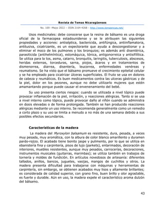 Revista de Temas Nicaragüenses
No. 169 –Mayo 2022 – ISSN 2164-4268 - http://www.temasnicas.net/
43
Usos medicinales: debe conocerse que la resina de bálsamo es una droga
oficial de la farmacopea estadounidense y se le atribuyen las siguientes
propiedades y acciones: antiséptica, bactericida, antifúngica, antiinflamatoria,
antitusiva, cicatrizante, es un expectorante que ayuda a descongestionar y a
eliminar el moco de los pulmones y los bronquios; es además anti disentérica,
parasiticida (antihelmíntica), estomáquica, tónica, antigonorreica y antisifilítica.
Se utiliza para la tos, asma, catarro, bronquitis, laringitis, tuberculosis, abscesos,
heridas externas, torceduras, sarna, piojos, ácaros y en tratamientos de
dismenorrea, diarrea, disentería, leucorrea, enfermedades venéreas y
reumatismo. Se ha visto que el bálsamo promueve el crecimiento epitelial celular
y se ha empleado para cicatrizar úlceras superficiales. El fruto se usa en dolores
de cabeza y reumáticos. Es buen medicamentos contra las ulceras gástricas y de
la piel, dolor en los pezones, aunque no debe utilizarlo mujeres que estén
amamantando porque puede causar el envenenamiento del bebé.
Su uso presenta ciertos riesgos: cuando se utilizada a nivel tópico puede
provocar inflamación de la piel, irritación, y reacciones alérgicas. Tanto si se usa
a nivel interno como tópico, puede provocar daño al riñón cuando se administra
en dosis elevadas o de forma prolongada. También se han producido reacciones
alérgicas mediante un uso interno. Se recomienda generalmente como un remedio
a corto plazo y su uso se limita a menudo a no más de una semana debido a sus
posibles efectos secundarios.
Características de la madera
La madera del Myroxylon balsamum es resistente, dura, pesada, a veces
muy pesada, muy aromática, con la albura de color blanco amarillento y duramen
pardo-rojizo. El acabado tiene bonito jaspe y pulimento, por lo que se utiliza en
ebanistería fina y carpintería, pisos de lujo (parkets), entarimados, decoración de
interiores, muebles resistentes, aunque muy pesados, carrocerías, decoraciones,
instrumentos musicales (guitarras, marimbas); se utiliza también en trabajos de
tornería y moldes de fundición. En artículos novedosos de artesanía: diferentes
tallados, anillos, bancos, juguetes, vasijas, mangos de cuchillos y otros. La
madera presenta dificultad para trabajarse con máquinas y herramientas de
carpintería, sin embargo, se obtienen acabados muy lisos y altamente brillantes;
es considerada de calidad superior, con grano fino, buen brillo y olor agradable,
es fuerte y durable. Aún en uso, la madera expele el característico aroma dulzón
del bálsamo.
 