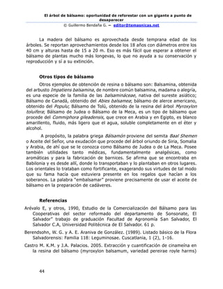 El árbol de bálsamo: oportunidad de reforestar con un gigante a punto de
desaparecer
© Guillermo Bendaña G. – editor@temasnicas.net
–
44
La madera del bálsamo es aprovechada desde temprana edad de los
árboles. Se reportan aprovechamientos desde los 18 años con diámetros entre los
40 cm y alturas hasta de 15 a 20 m. Eso es más fácil que esperar a obtener el
bálsamo de plantas mucho más longevas, lo que no ayuda a su conservación y
reproducción y sí a su extinción.
Otros tipos de bálsamo
Otros ejemplos de obtención de resina o bálsamo son: Balsamina, obtenida
del arbusto Impatiens balsamina, de nombre común balsamina, madama o alegría,
es una especie de la familia de las balsamináceae, nativa del sureste asiático;
Bálsamo de Canadá, obtenido del Abies balsamea; bálsamo de alerce americano,
obtenido del Populu; Bálsamo de Tolú, obtenido de la resina del árbol Myroxylon
toluifera; Bálsamo de Judea o Bálsamo de la Meca, es un tipo de bálsamo que
procede del Commiphora gileadensis, que crece en Arabia y en Egipto, es blanco
amarillento, fluido, más ligero que el agua, soluble completamente en el éter y
alcohol.
A propósito, la palabra griega Bálsamón proviene del semita Baal Shemen
o Aceite del Señor, una exudación que procede del árbol oriundo de Siria, Somalia
y Arabia, de ahí que se le conozca como Bálsamo de Judea o de La Meca. Posee
también utilidades tanto médicas, fundamentalmente analgésicas, como
aromáticas y para la fabricación de barnices. Se afirma que se encontraba en
Babilonia y es desde allí, donde lo transportaban y lo plantaban en otros lugares.
Los orientales lo trataban como fortificante, exagerando sus virtudes de tal modo
que su fama hacía que estuviera presente en los regalos que hacían a los
soberanos. La palabra “embalsamar” proviene precisamente de usar el aceite de
bálsamo en la preparación de cadáveres.
Referencias
Arévalo E, y otros, 1990, Estudio de la Comercialización del Bálsamo para las
Cooperativas del sector reformado del departamento de Sonsonate, El
Salvador” trabajo de graduación Facultad de Agronomía San Salvador, El
Salvador C.A, Universidad Politécnica de El Salvador. 61 p.
Berendsohn, W. G. y A. E. Araniva de González. (1989). Listado básico de la Flora
Salvadorensis: Familia 118: Leguminosae. Cuscatlania, 1 (2), 1-16.
Castro M. K.M. y J.A. Palacios. 2005. Extracción y cuantificación de cinameína en
la resina del bálsamo (myroxylon balsamum, variedad pereirae royle harms)
 