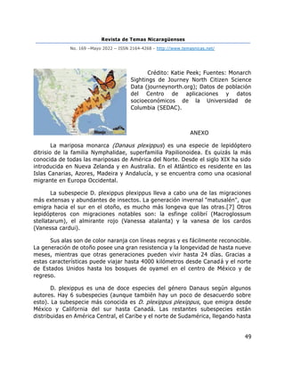 Revista de Temas Nicaragüenses
No. 169 –Mayo 2022 – ISSN 2164-4268 - http://www.temasnicas.net/
49
Crédito: Katie Peek; Fuentes: Monarch
Sightings de Journey North Citizen Science
Data (journeynorth.org); Datos de población
del Centro de aplicaciones y datos
socioeconómicos de la Universidad de
Columbia (SEDAC).
ANEXO
La mariposa monarca (Danaus plexippus) es una especie de lepidóptero
ditrisio de la familia Nymphalidae, superfamilia Papilionoidea. Es quizás la más
conocida de todas las mariposas de América del Norte. Desde el siglo XIX ha sido
introducida en Nueva Zelanda y en Australia. En el Atlántico es residente en las
Islas Canarias, Azores, Madeira y Andalucía, y se encuentra como una ocasional
migrante en Europa Occidental.
La subespecie D. plexippus plexippus lleva a cabo una de las migraciones
más extensas y abundantes de insectos. La generación invernal "matusalén", que
emigra hacia el sur en el otoño, es mucho más longeva que las otras.[7] Otros
lepidópteros con migraciones notables son: la esfinge colibrí (Macroglossum
stellatarum), el almirante rojo (Vanessa atalanta) y la vanesa de los cardos
(Vanessa cardui).
Sus alas son de color naranja con líneas negras y es fácilmente reconocible.
La generación de otoño posee una gran resistencia y la longevidad de hasta nueve
meses, mientras que otras generaciones pueden vivir hasta 24 días. Gracias a
estas características puede viajar hasta 4000 kilómetros desde Canadá y el norte
de Estados Unidos hasta los bosques de oyamel en el centro de México y de
regreso.
D. plexippus es una de doce especies del género Danaus según algunos
autores. Hay 6 subespecies (aunque también hay un poco de desacuerdo sobre
esto). La subespecie más conocida es D. plexippus plexippus, que emigra desde
México y California del sur hasta Canadá. Las restantes subespecies están
distribuidas en América Central, el Caribe y el norte de Sudamérica, llegando hasta
 